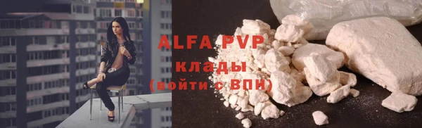 spice Санкт-Петербург