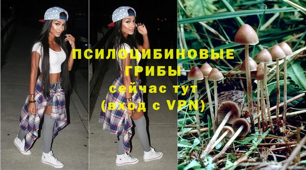 экстази Ессентукская
