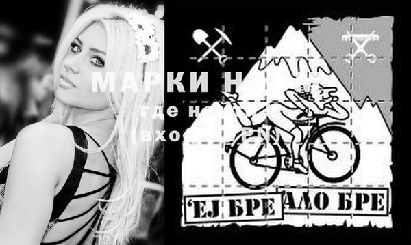 spice Санкт-Петербург