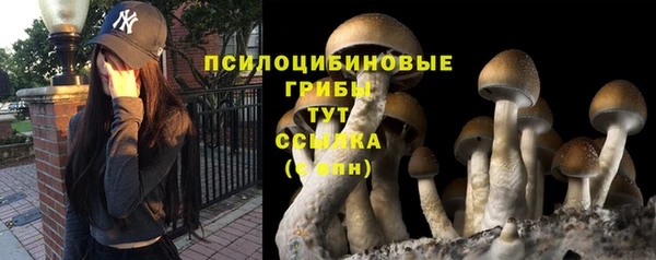 экстази Ессентукская